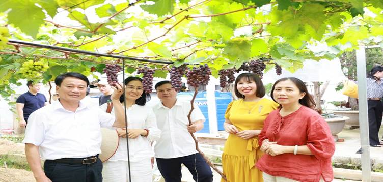 Nhiều mô hình kinh tế mới tại xã Quan Thành đã và đang đem lại thu nhập cao hơn cho người dân nới đây